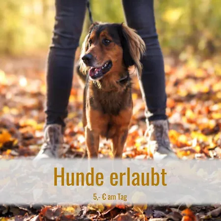 Kranzegger Bergheimat *